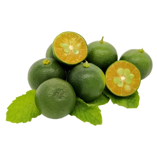 LIMAU KASTURI