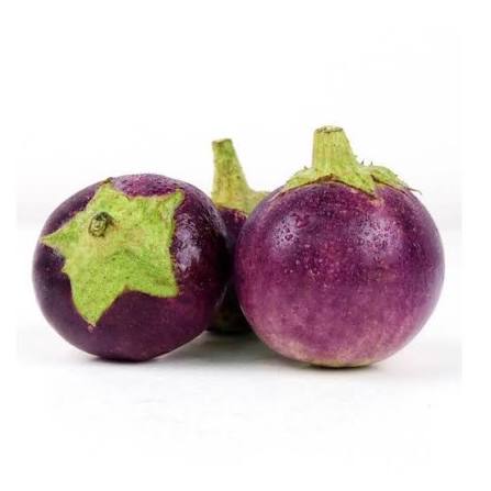 TERUNG BULAT 1KG